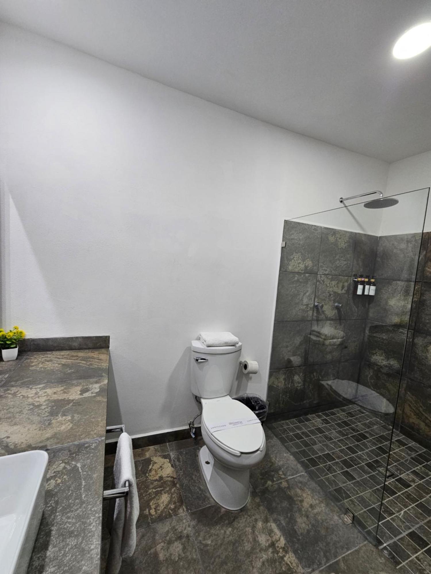 Alvaro Obregon Hotel Ejecutivo Aeropuerto מראה חיצוני תמונה